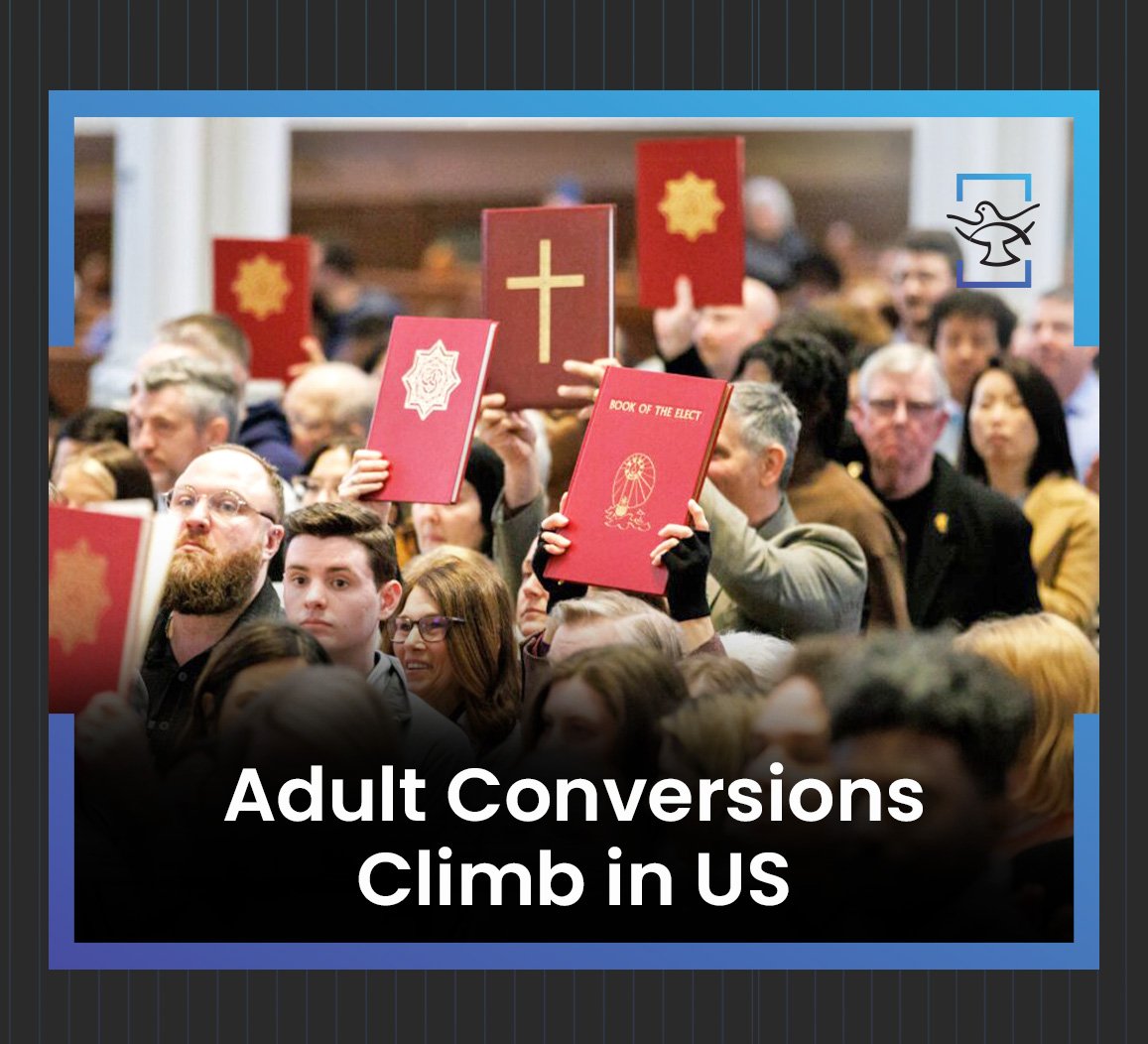 Adult Conversions climb in US